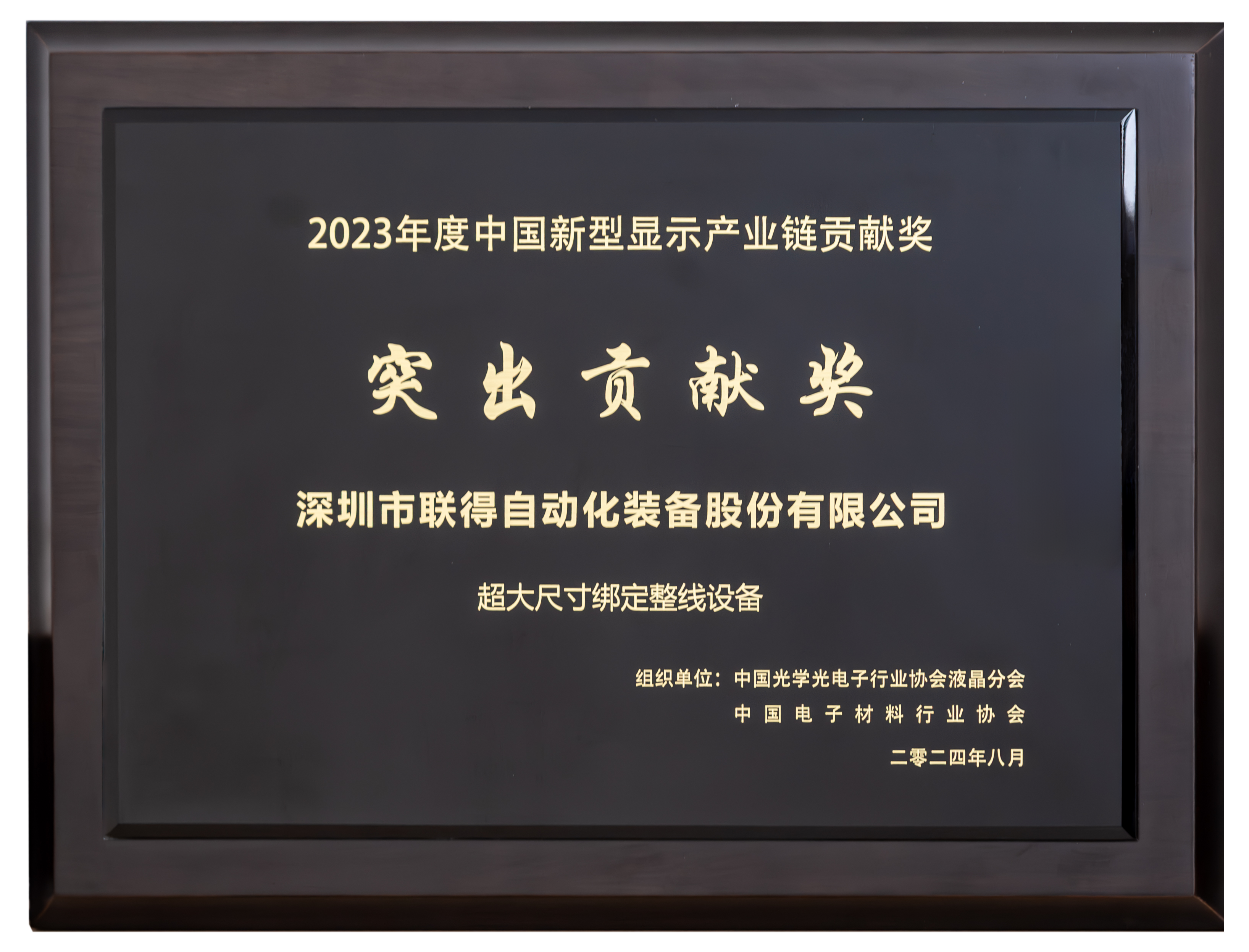 中國新型顯示產(chǎn)業(yè)鏈貢獻獎-突出貢獻獎.png